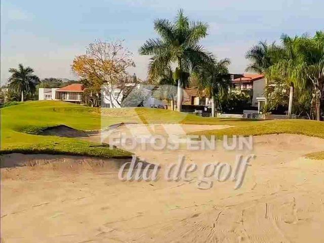 place photo 37