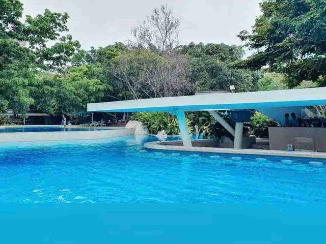 place photo 22