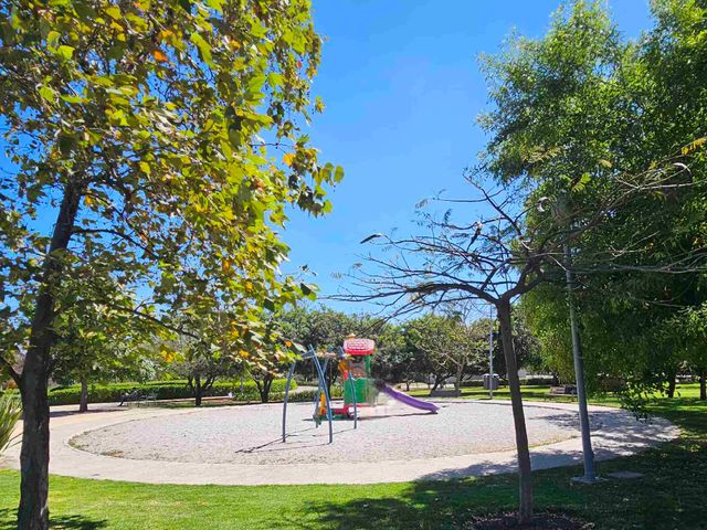 place photo 29