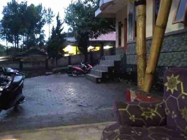 place photo 11