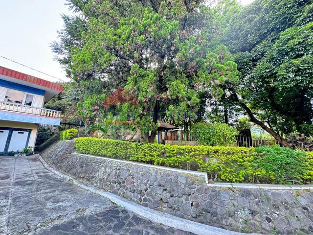 place photo 30