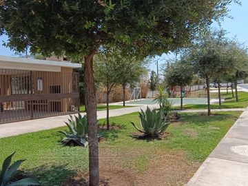 place photo 22