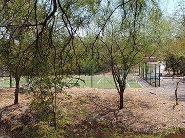 place photo 24