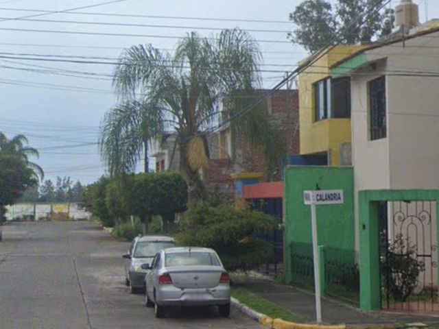 place photo 7