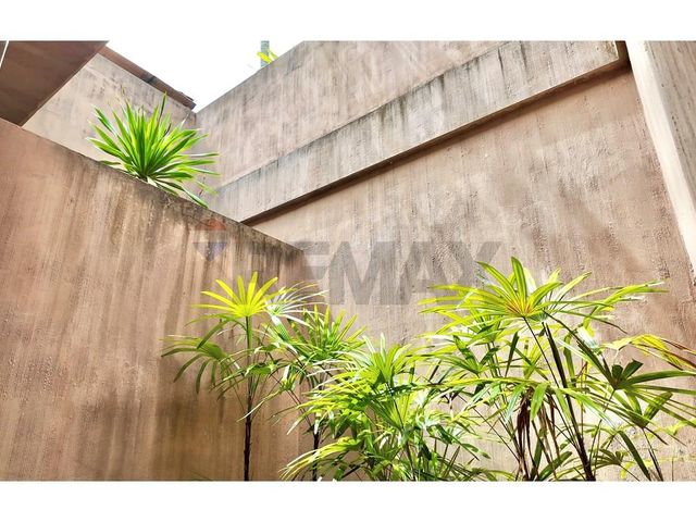 place photo 54