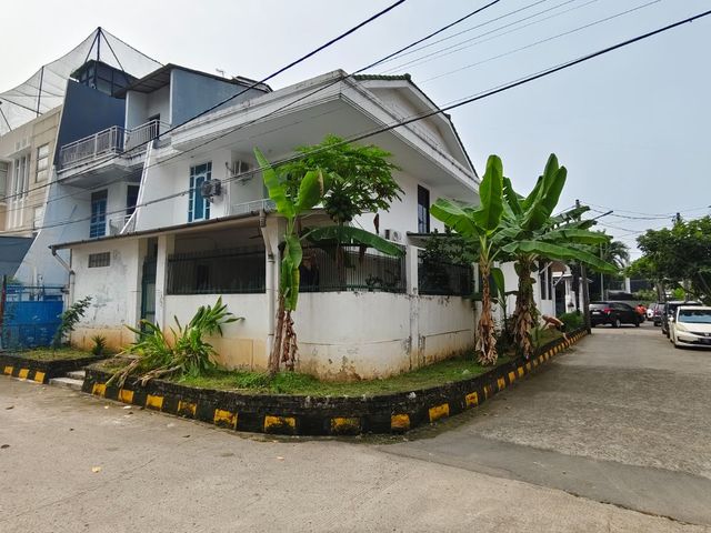 place photo 19