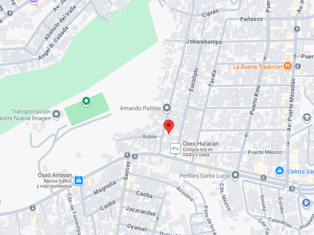 place photo 10