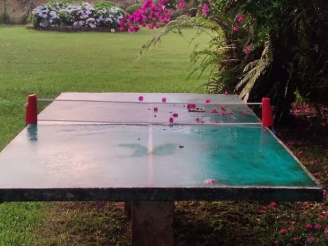 place photo 54