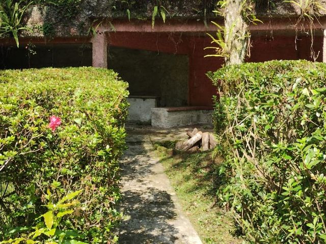 place photo 36