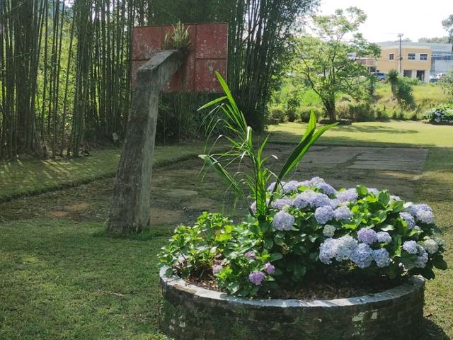 place photo 37