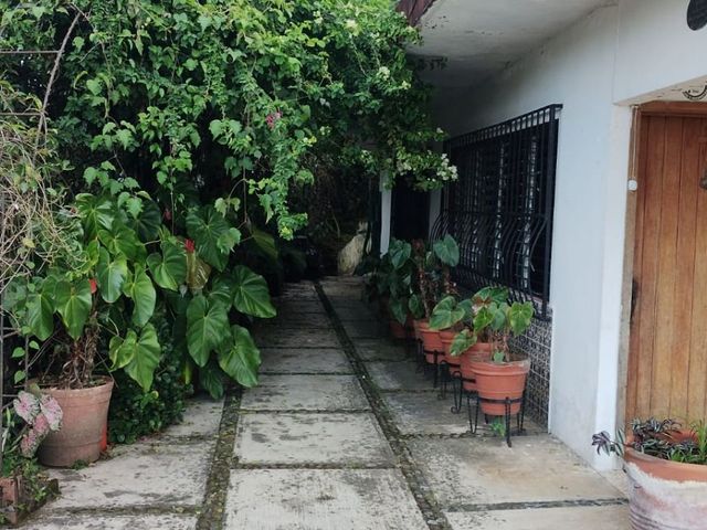 place photo 41