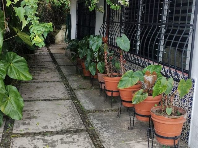 place photo 42