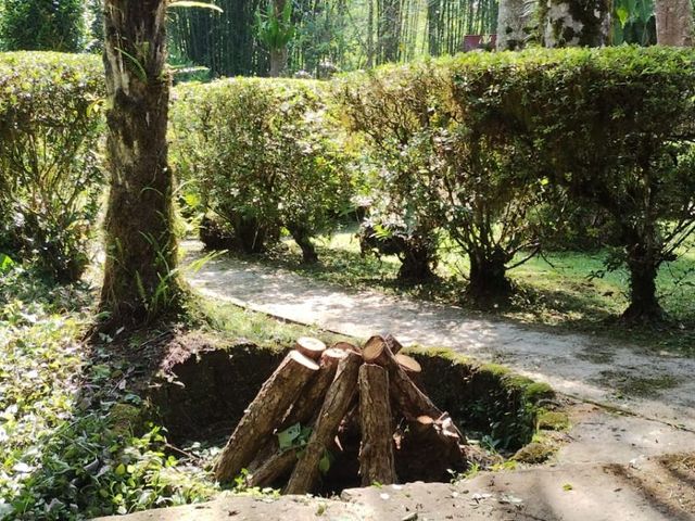 place photo 46