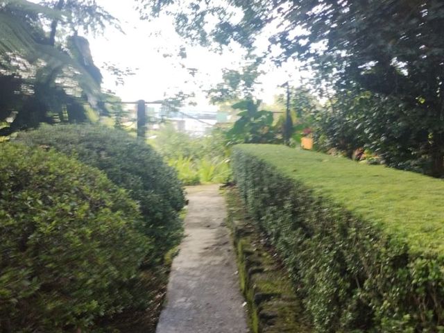 place photo 47