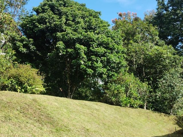 place photo 48