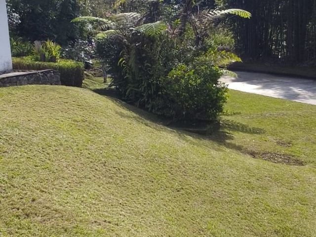 place photo 49
