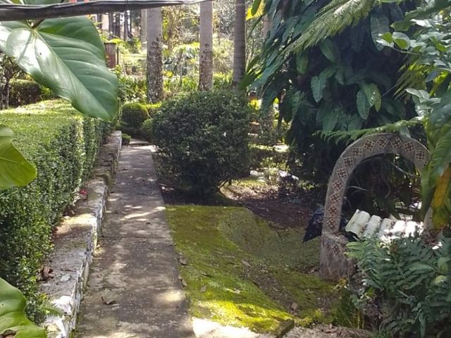 place photo 50