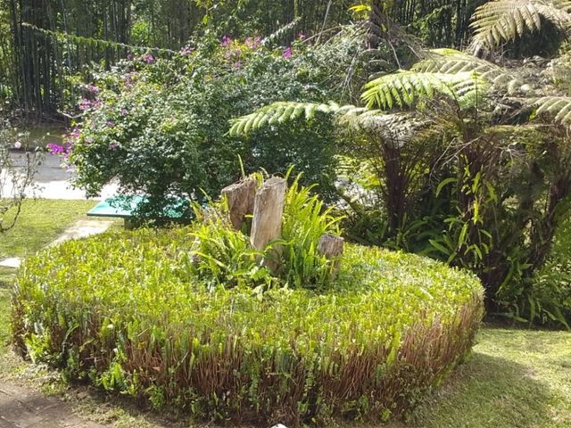 place photo 51