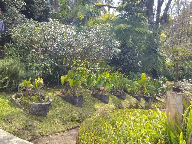 place photo 52