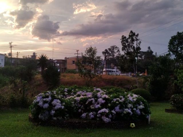 place photo 53