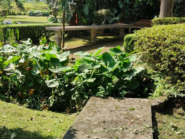 place photo 55