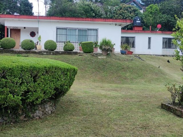 place photo 60