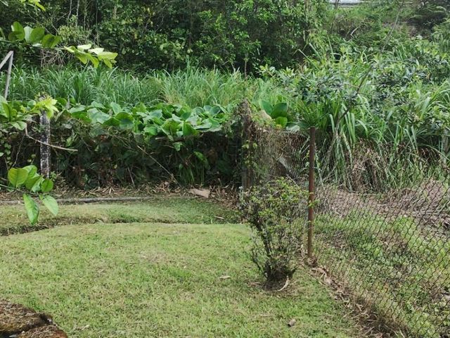 place photo 61