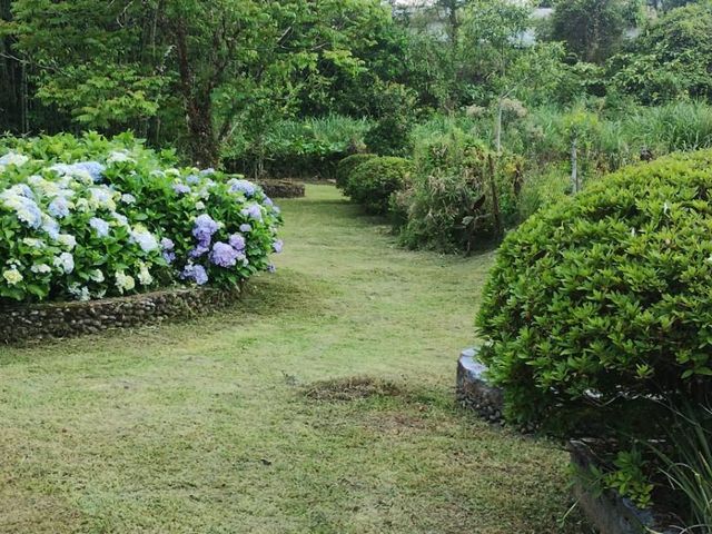 place photo 62