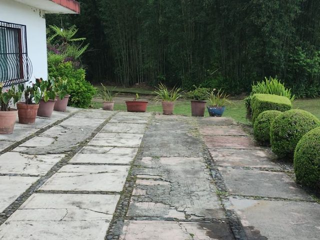 place photo 64
