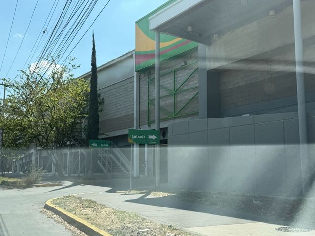 place photo 21