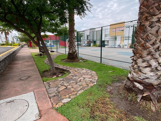 place photo 30