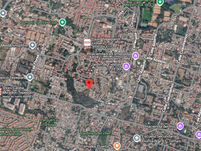 place photo 18