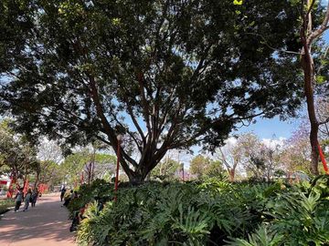 place photo 21