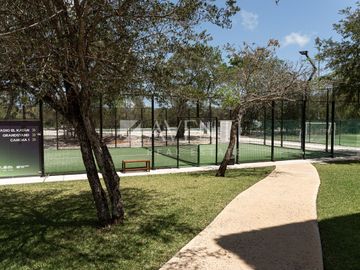 place photo 31