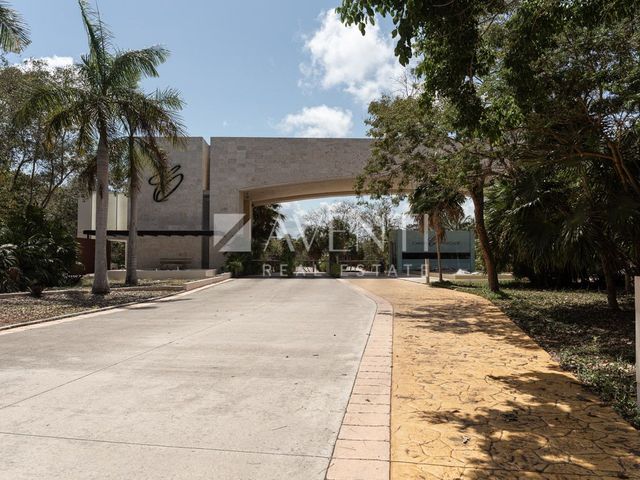 place photo 37