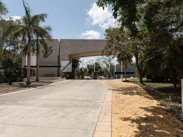 place photo 37