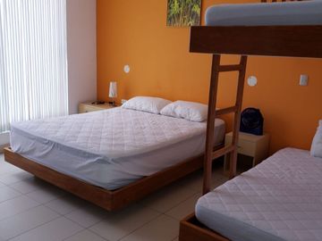 place photo 32
