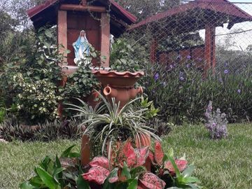 place photo 21