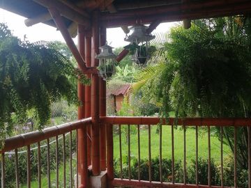 place photo 26