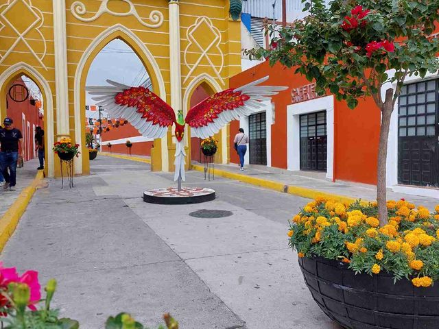 place photo 9