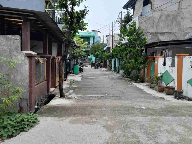 place photo 11
