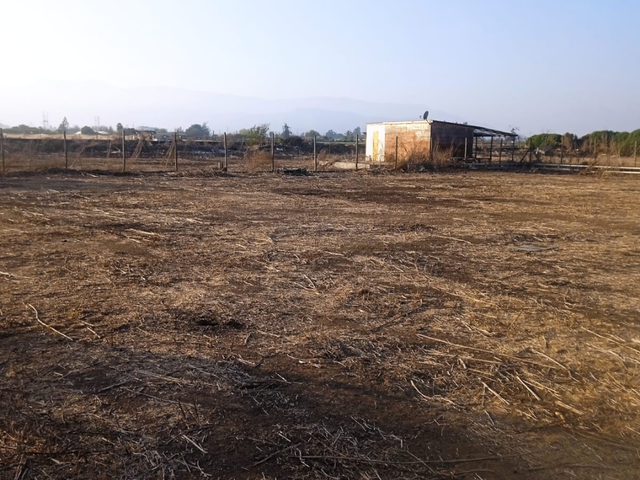 place photo 6
