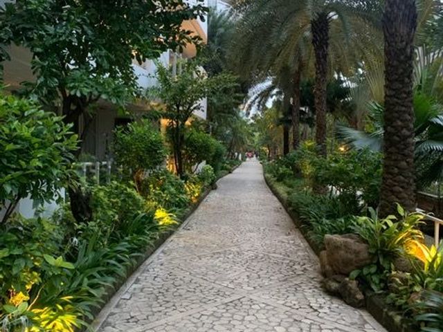 place photo 21