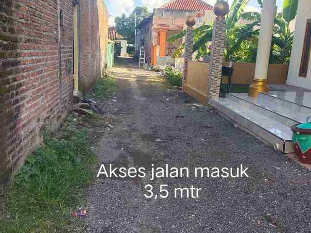 place photo 16