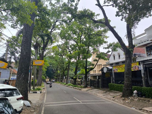 place photo 16