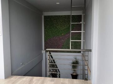 place photo 42