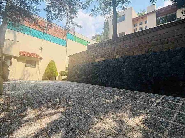 place photo 36