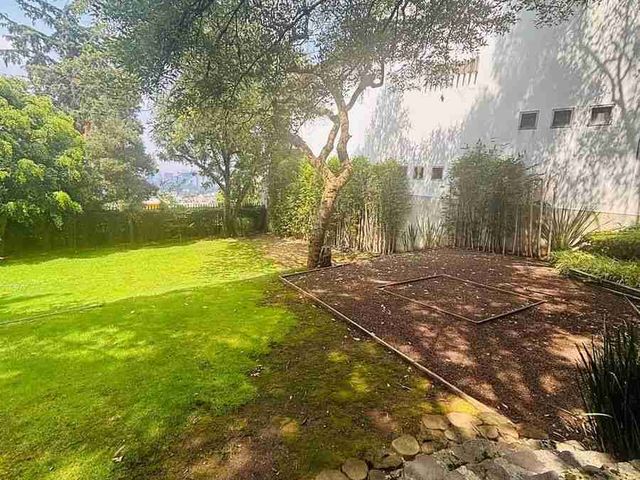 place photo 38
