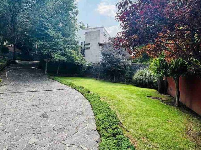place photo 40