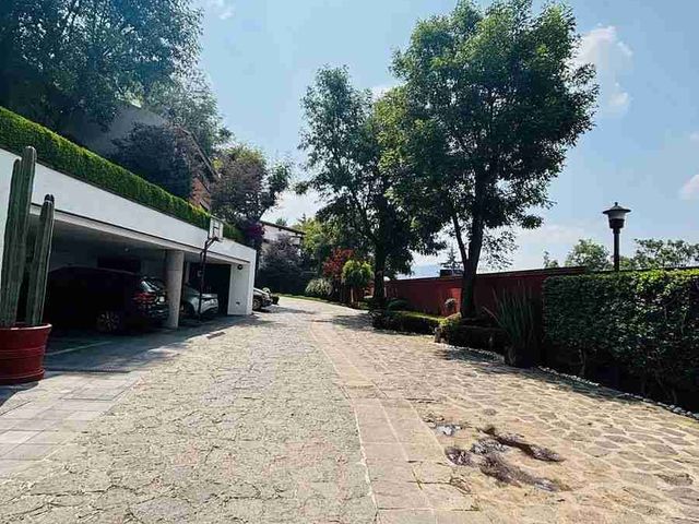 place photo 42